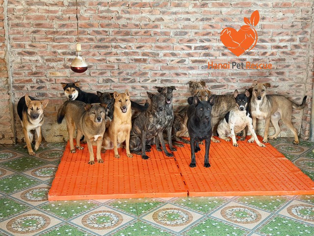 Bước sang 2025, những biệt đội Gen Z bước ra từ WeChoice vẫn bền bỉ viết tiếp những điều phi thường- Ảnh 2.