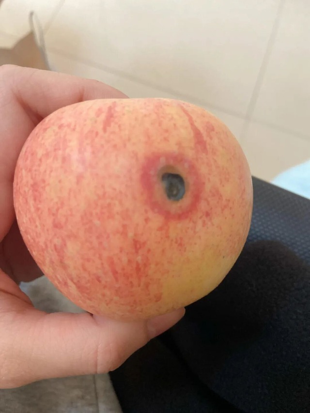 Tha thiết xin bạn: Vứt 7 thứ này ra khỏi nhà, giữ lại chỉ tự làm khổ mình- Ảnh 6.