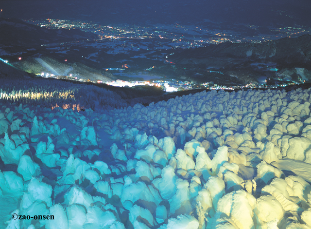 Đến với khu vực Hokkaido và Tohoku – khám phá vẻ đẹp của thiên đường mùa đông miền Bắc Nhật Bản- Ảnh 18.