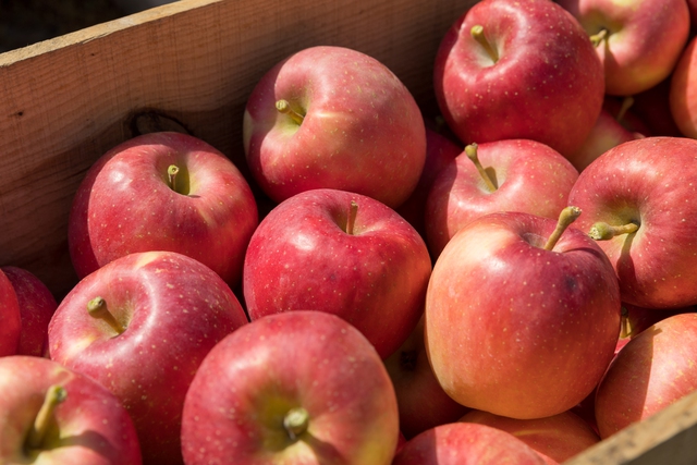 Đến với khu vực Hokkaido và Tohoku – khám phá vẻ đẹp của thiên đường mùa đông miền Bắc Nhật Bản- Ảnh 13.