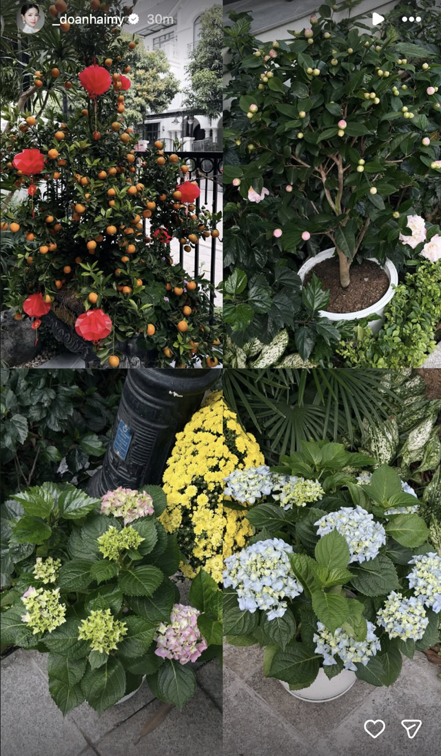 Biệt thự mấy chục tỷ nhà Đoàn Văn Hậu tràn ngập sắc hoa đón Tết, tiểu thư Doãn Hải My khéo chăm quá đi! - Ảnh 3.