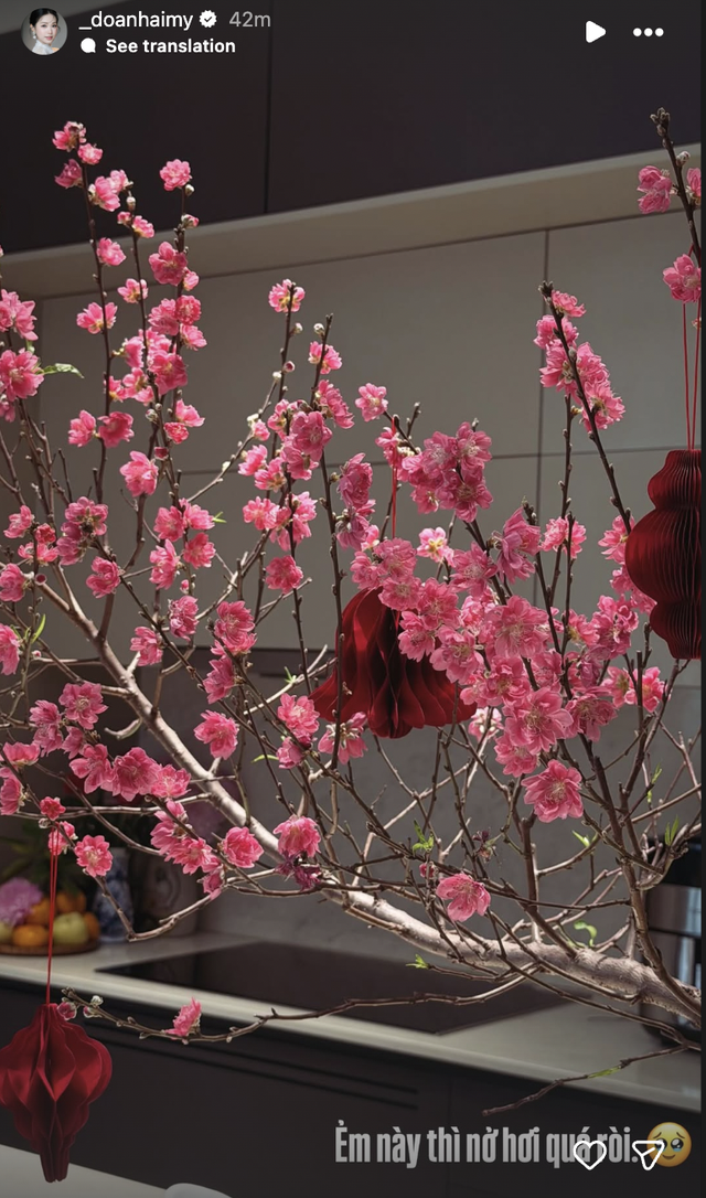 Biệt thự mấy chục tỷ nhà Đoàn Văn Hậu tràn ngập sắc hoa đón Tết, tiểu thư Doãn Hải My khéo chăm quá đi! - Ảnh 4.