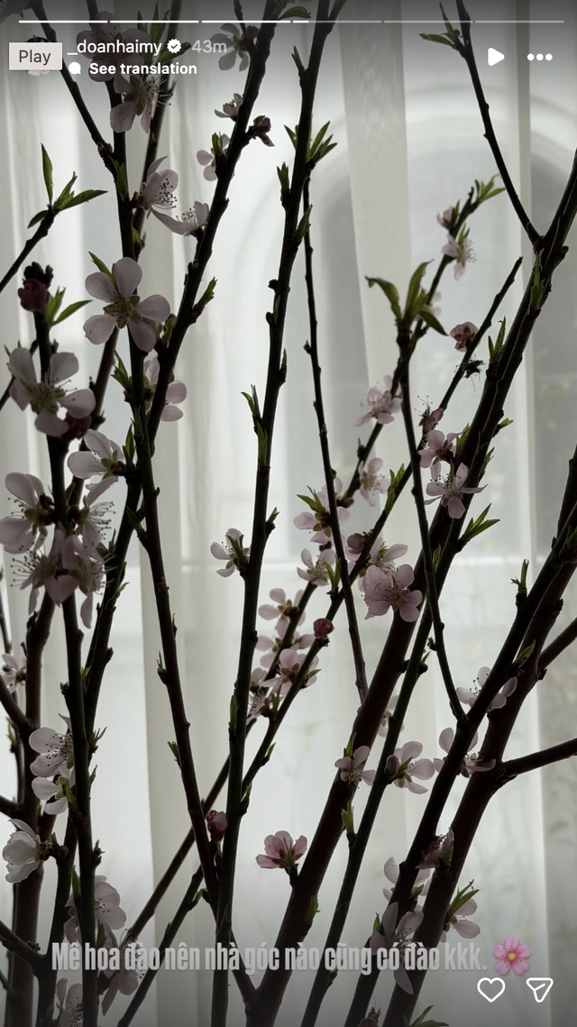 Biệt thự mấy chục tỷ nhà Đoàn Văn Hậu tràn ngập sắc hoa đón Tết, tiểu thư Doãn Hải My khéo chăm quá đi! - Ảnh 5.