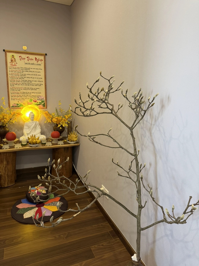 Bỏ tiền triệu mà vẫn "tàn canh gió lạnh", hội người nghị lực nhất Tết 2026 gọi tên dân chơi mộc lan - Ảnh 22.