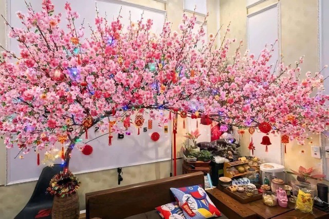 Miền Bắc lúc này: Đào chưa kịp Tết đã bung hết hoa, cả cõi mạng xin nhau tips “hoãn lại cái sự xinh đẹp ấy” - Ảnh 1.