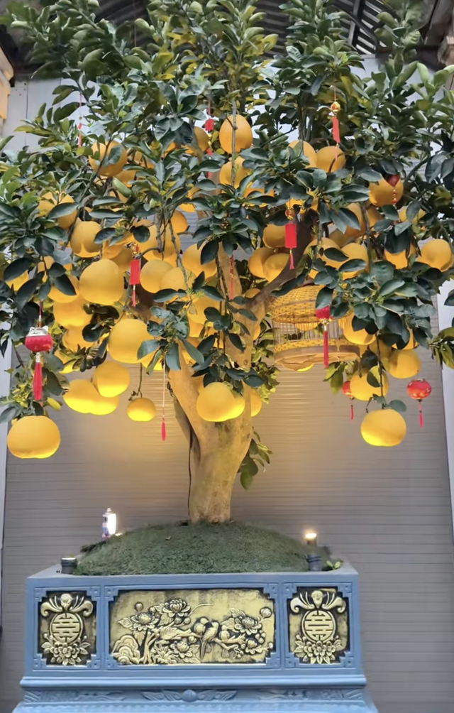 Không khí Tết rộn ràng nhà Quang Hải: Chu Thanh Huyền "xả vai sang chảnh" cùng chồng đun bánh chưng nướng thịt cực chill - Ảnh 2.