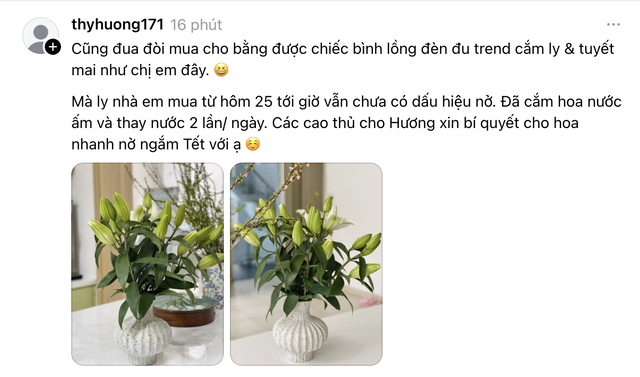 Phát điên vì hoa Tết năm nay!- Ảnh 5. Phát điên vì hoa Tết năm nay!- Ảnh 5.