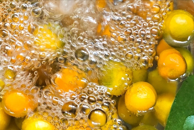 Loại cây "tài lộc" ngày Tết của người Việt hóa ra quả cũng là vị thuốc bổ nhuận phổi, tiêu đờm, tốt cho tiêu hóa - Ảnh 3.