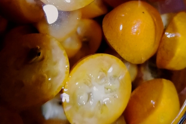 Loại cây "tài lộc" ngày Tết của người Việt hóa ra quả cũng là vị thuốc bổ nhuận phổi, tiêu đờm, tốt cho tiêu hóa - Ảnh 4.