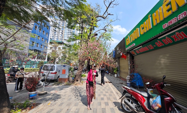 Chợ hoa 29 Tết: Tiểu thương hạ giá trước giờ G, không còn cảnh "đập chậu đốt hoa" như mọi năm - Ảnh 15.
