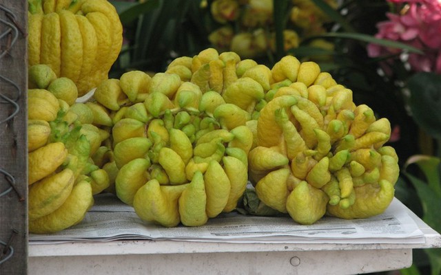 7 loại quả "vàng" NÊN chưng bàn thờ Tết: Cầu may, gọi lộc, cả năm ắt hanh thông- Ảnh 5. 7 loại quả "vàng" NÊN chưng bàn thờ Tết: Cầu may, gọi lộc, cả năm ắt hanh thông- Ảnh 5.