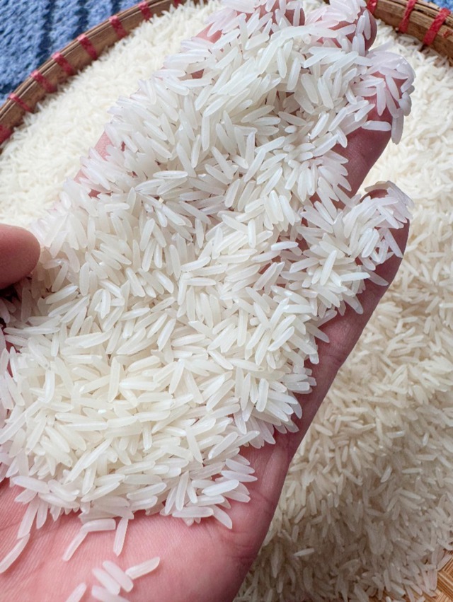 Quá tự hào: ST25 Việt Nam là "Gạo ngon nhất thế giới" 2025- Ảnh 3. Quá tự hào: ST25 Việt Nam là "Gạo ngon nhất thế giới" 2025- Ảnh 3.