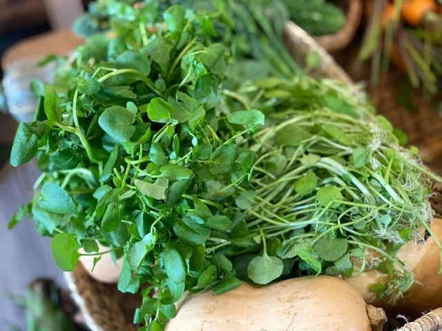 Loại rau "siêu phẩm thế giới", được Mỹ chấm điểm 100/100: Chợ Việt bán la liệt, 15.000đ/mớ- Ảnh 1. Loại rau "siêu phẩm thế giới", được Mỹ chấm điểm 100/100: Chợ Việt bán la liệt, 15.000đ/mớ- Ảnh 1.