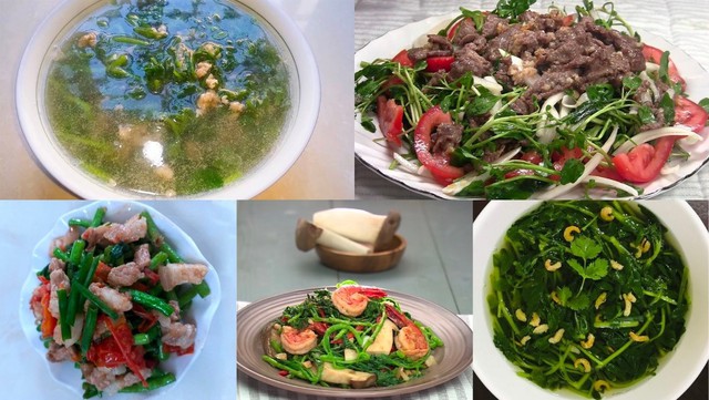 Loại rau "siêu phẩm thế giới", được Mỹ chấm điểm 100/100: Chợ Việt bán la liệt, 15.000đ/mớ- Ảnh 3. Loại rau "siêu phẩm thế giới", được Mỹ chấm điểm 100/100: Chợ Việt bán la liệt, 15.000đ/mớ- Ảnh 3.