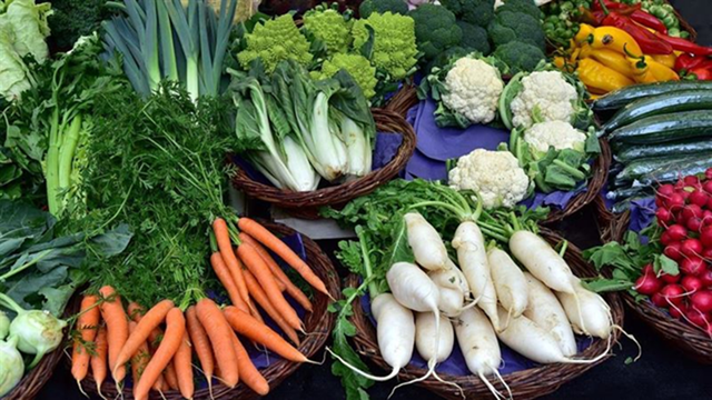 4 loại rau dễ 4 loại rau dễ