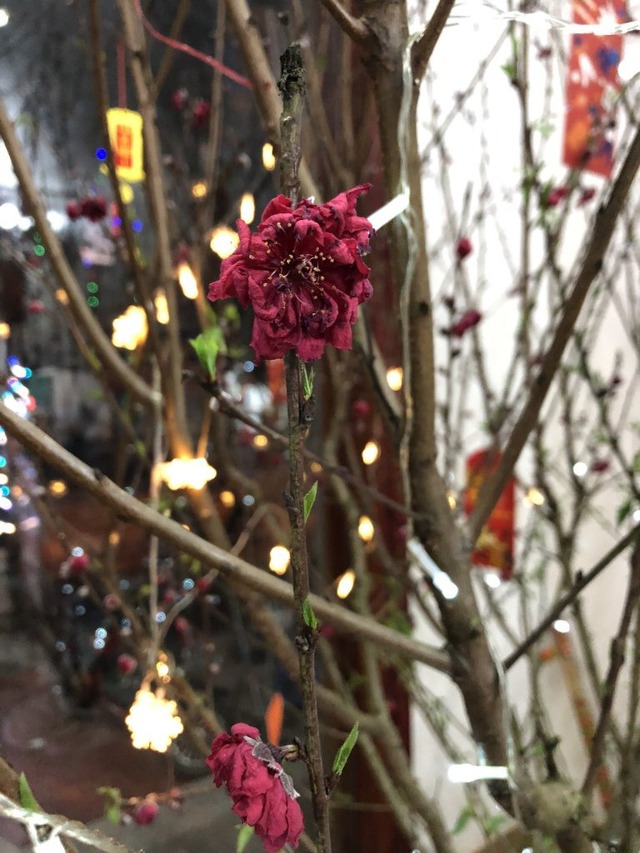 Qua mùng 8 Tết: Tiễn ngay 3 thứ này khỏi nhà kẻo xui cả năm, tiền làm bao nhiêu cũng hết sạch - Ảnh 1.