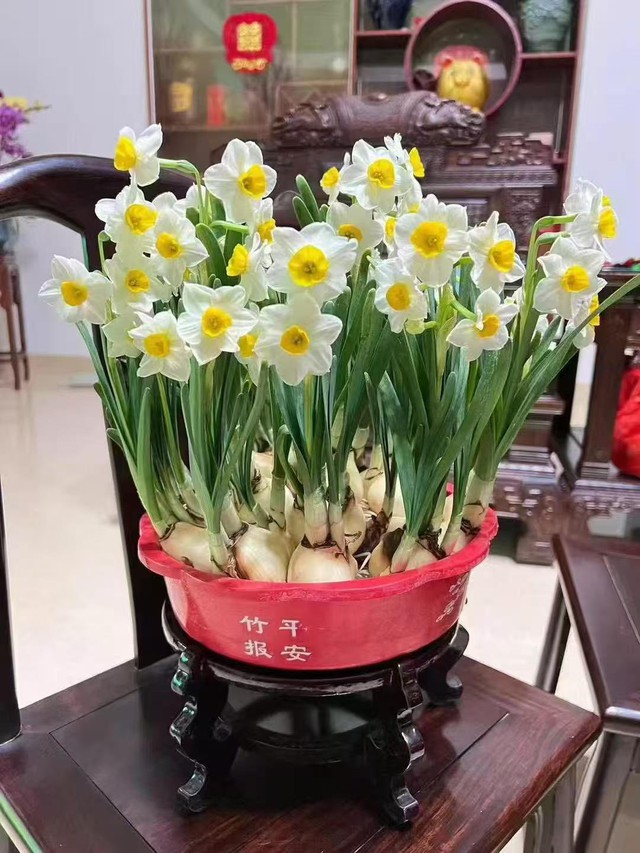 Hoa cúng vía thần tài - Ảnh 2.