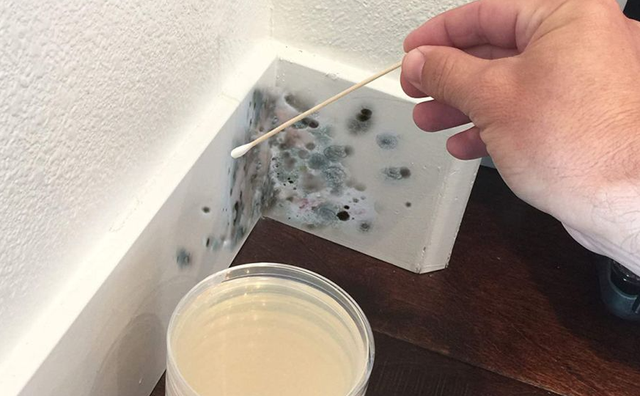 Thời tiết miền Bắc bước vào chuỗi ngày nồm ẩm: Cẩn trọng với nhiều bệnh lây truyền - Ảnh 2.