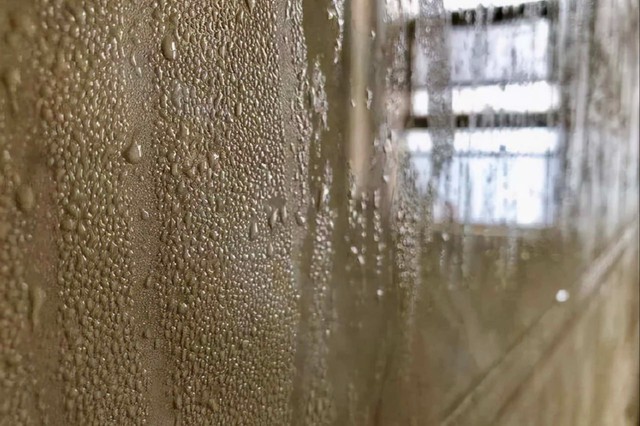 6 mẹo "sống còn" khi trời nồm ẩm để giữ cho ngôi nhà luôn khô ráo, trong lành - Ảnh 1.