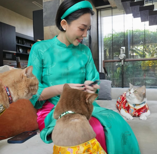 Điều khó phân chia của Tóc Tiên và Touliver sau ly hôn - Ảnh 4.