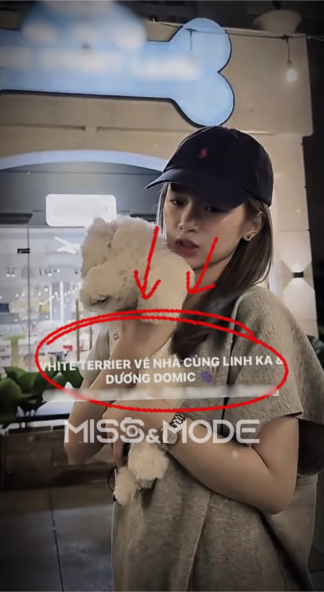 Dương Domic và Linh Ka đã dọn về sống chung nhà? - Ảnh 1.