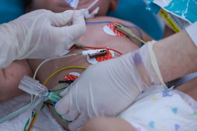 Những "màu đỏ không Tết" do Sốt xuất huyết Dengue và cuộc chiến giành lại mùa xuân - Ảnh 15.