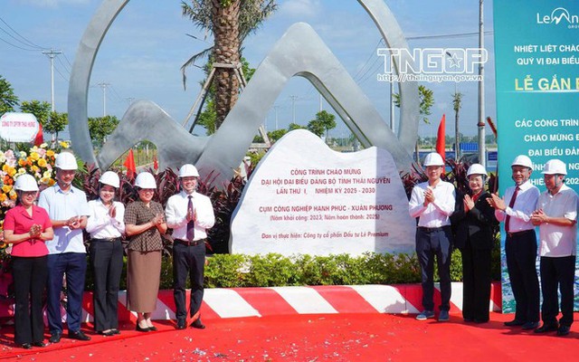 STH Holdings "lột xác" sau chuyển đổi đa ngành: Lợi nhuận 2025 tăng trưởng kỷ lục- Ảnh 1.