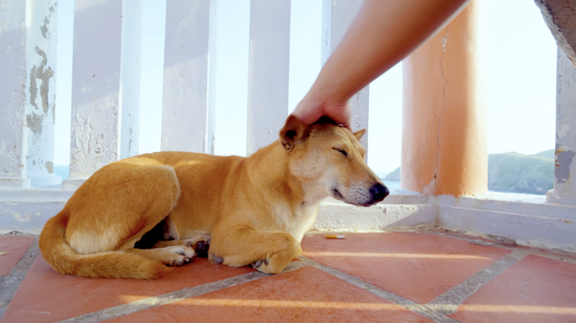 Bị bóc phốt thái độ chảnh chọe nhưng "hướng dẫn viên" ở Mũi Điện lại khiến ai cũng tranh nhau thuê- Ảnh 1. Bị bóc phốt thái độ chảnh chọe nhưng "hướng dẫn viên" ở Mũi Điện lại khiến ai cũng tranh nhau thuê- Ảnh 1.