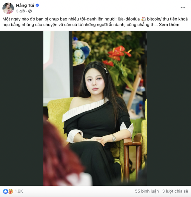 Hằng Túi chính thức lên tiếng: Tôi chọn nhờ đến PHÁP LUẬT - Ảnh 1.