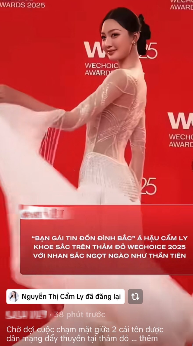 Á hậu Cẩm Ly đăng lại video  - Ảnh 1.