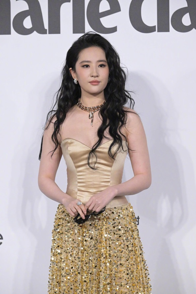 Thảm đỏ "hot" nhất Cbiz cuối năm: Lưu Diệc Phi, Dương Mịch đọ sắc cực gắt, riêng mỹ nhân này lại bị chê kém sang- Ảnh 3.
