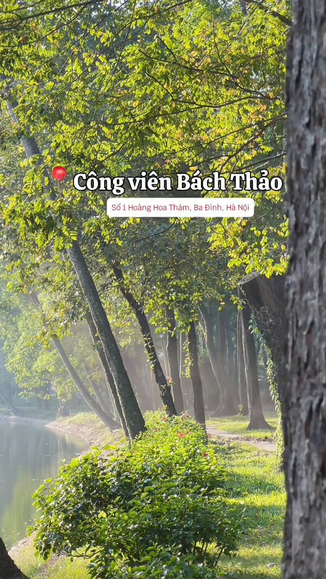 "Sống ảo" ở Vườn Bách Thảo: Nhiều bạn trẻ rủ nhau đến đu trend hoa lá "xinh như mộng"- Ảnh 4.