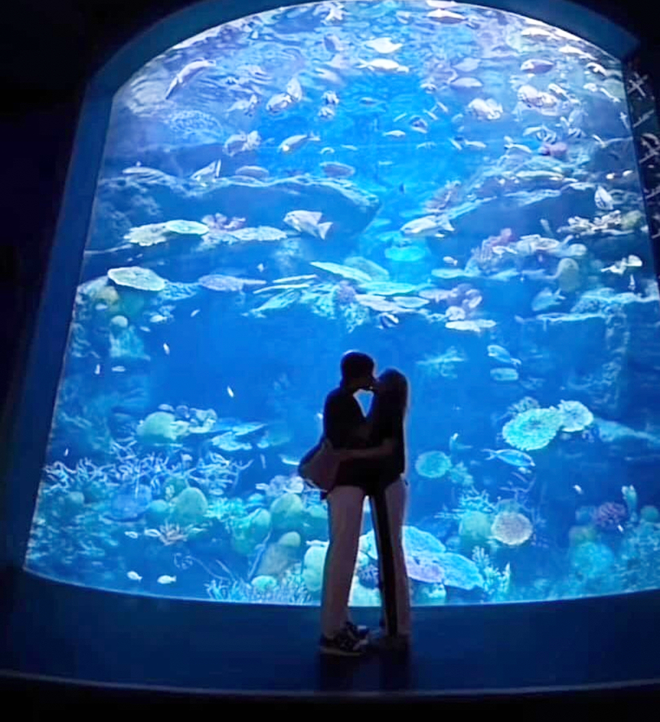 1 Anh trai nghi đã có bạn gái nhưng vẫn nhiệt tình "xào couple" với 1 sao nam, phản ứng sau đó mới sốc?- Ảnh 9.