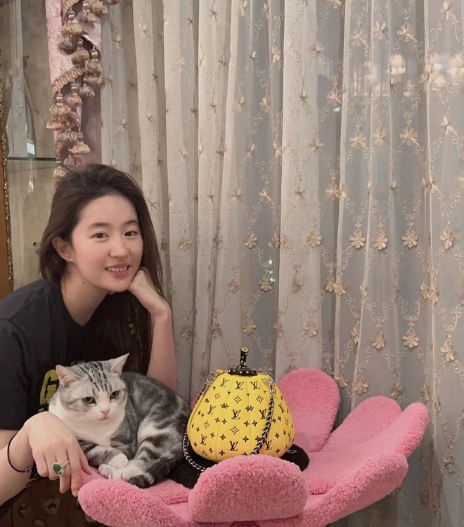Lưu Diệc Phi mạnh dạn khoe mặt mộc trên phim mới nhưng so với ngoài đời vẫn thua xa- Ảnh 5. Lưu Diệc Phi mạnh dạn khoe mặt mộc trên phim mới nhưng so với ngoài đời vẫn thua xa- Ảnh 5.