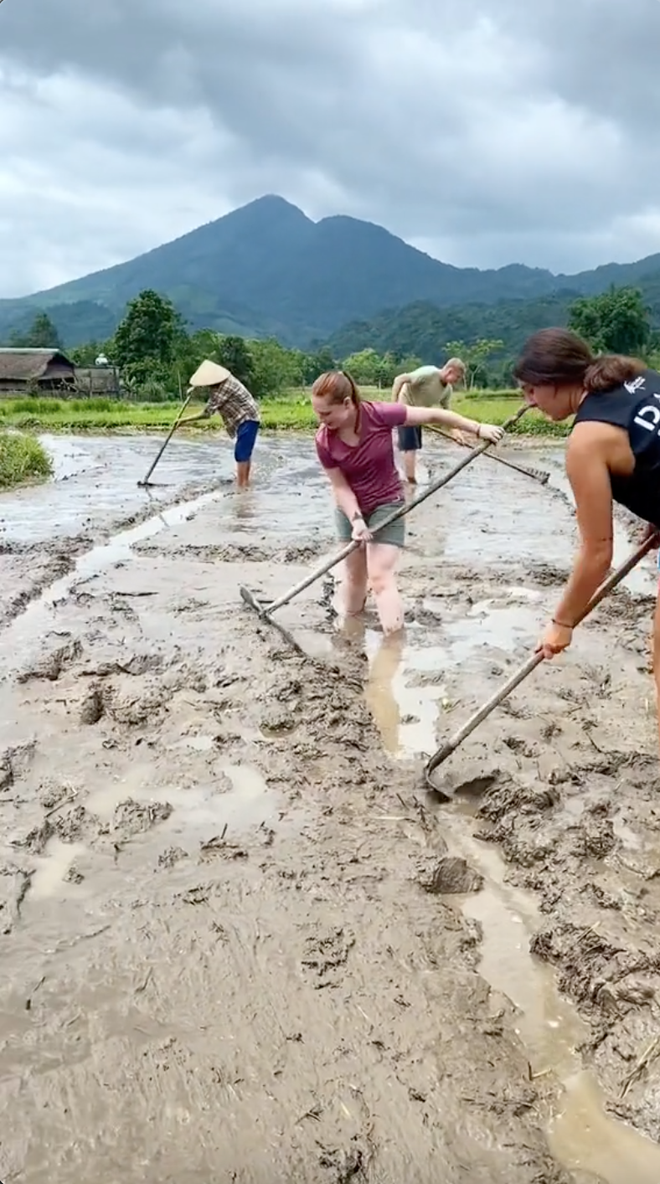 Một kiểu du lịch "độc nhất vô nhị" ở Việt Nam: Khách Tây bỏ tiền để được làm những việc không ngờ tới- Ảnh 6.