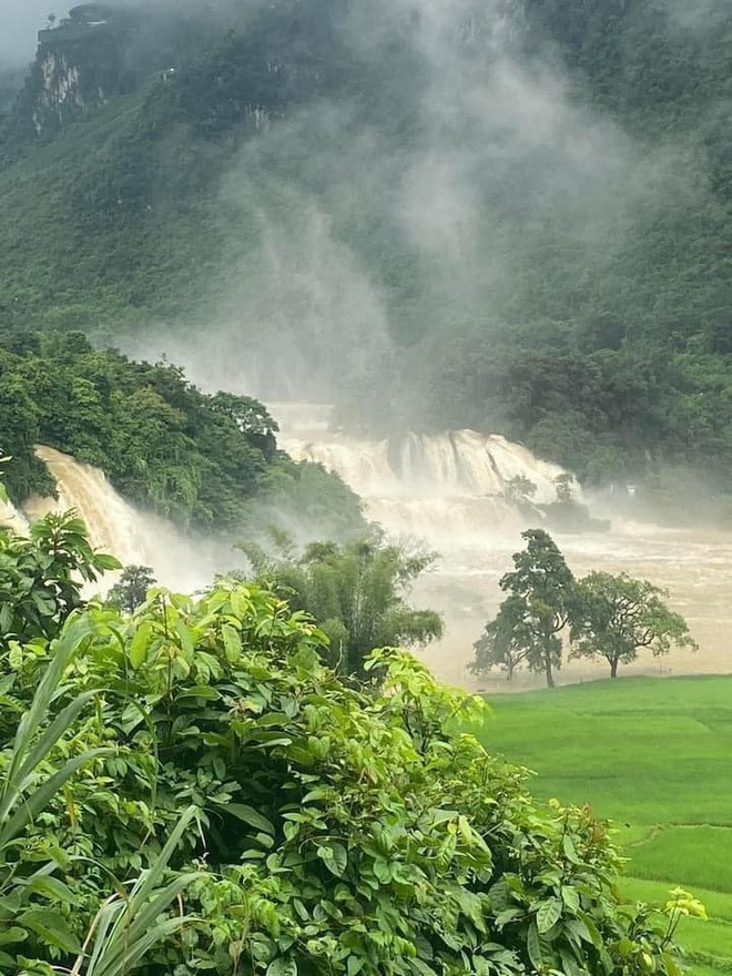 Dù ngập trong mưa lũ nhưng “thác nước đẹp nhất thế giới” tại Việt Nam vẫn đông đúc khách đặt tour- Ảnh 5.