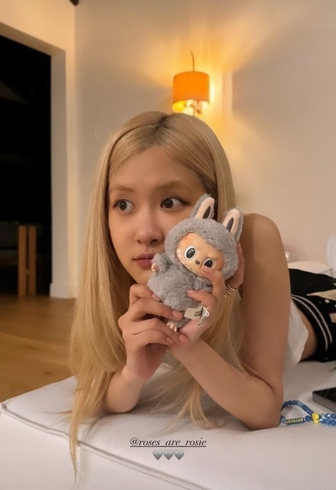 Một đồ chơi mới "đá" Labubu ra chuồng gà: Giá tụt thảm hại, Lisa cũng không thể cứu- Ảnh 5. Một đồ chơi mới "đá" Labubu ra chuồng gà: Giá tụt thảm hại, Lisa cũng không thể cứu- Ảnh 5.
