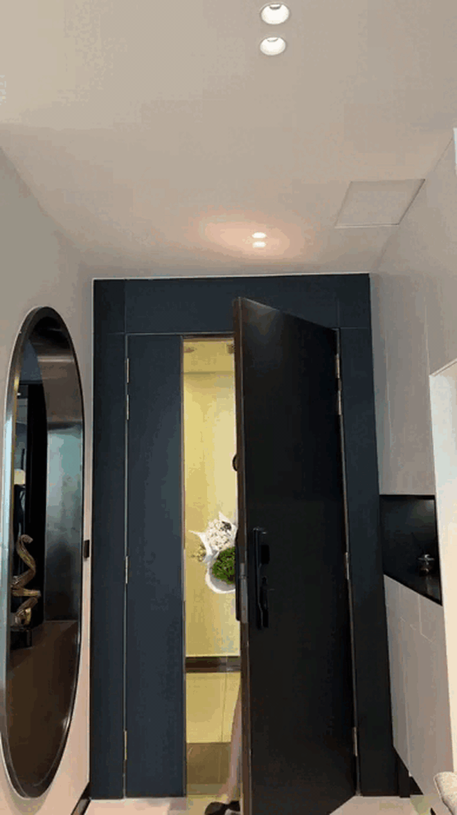 Tài sản của Đỗ Hà- Ảnh 1. Tài sản của Đỗ Hà- Ảnh 1.