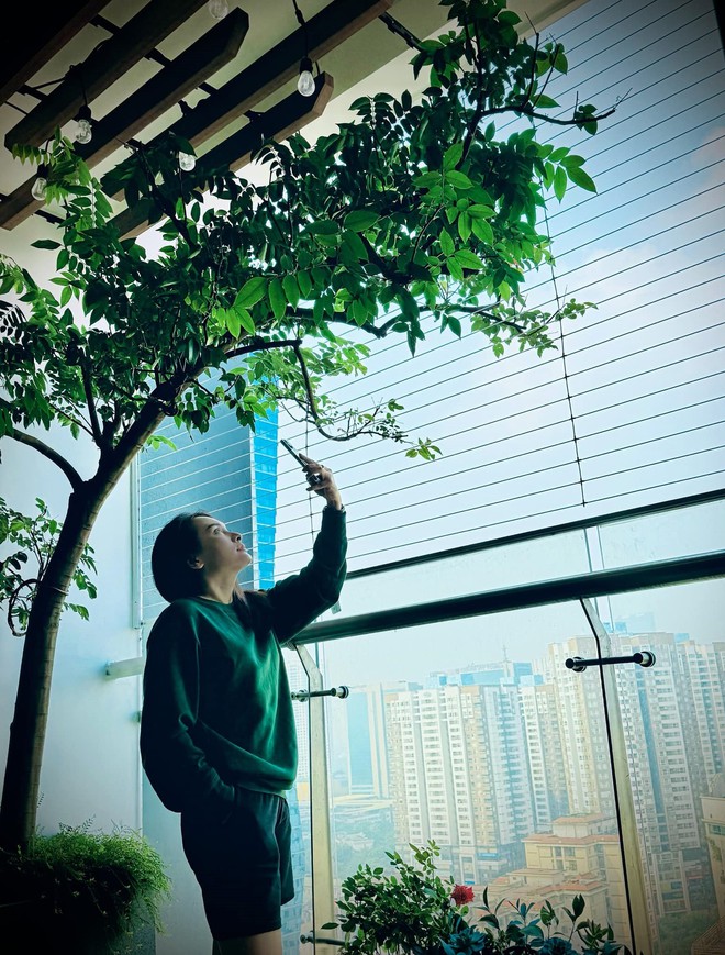 Bảo Thanh nhiều nhà cỡ này- Ảnh 5. Bảo Thanh nhiều nhà cỡ này- Ảnh 5.