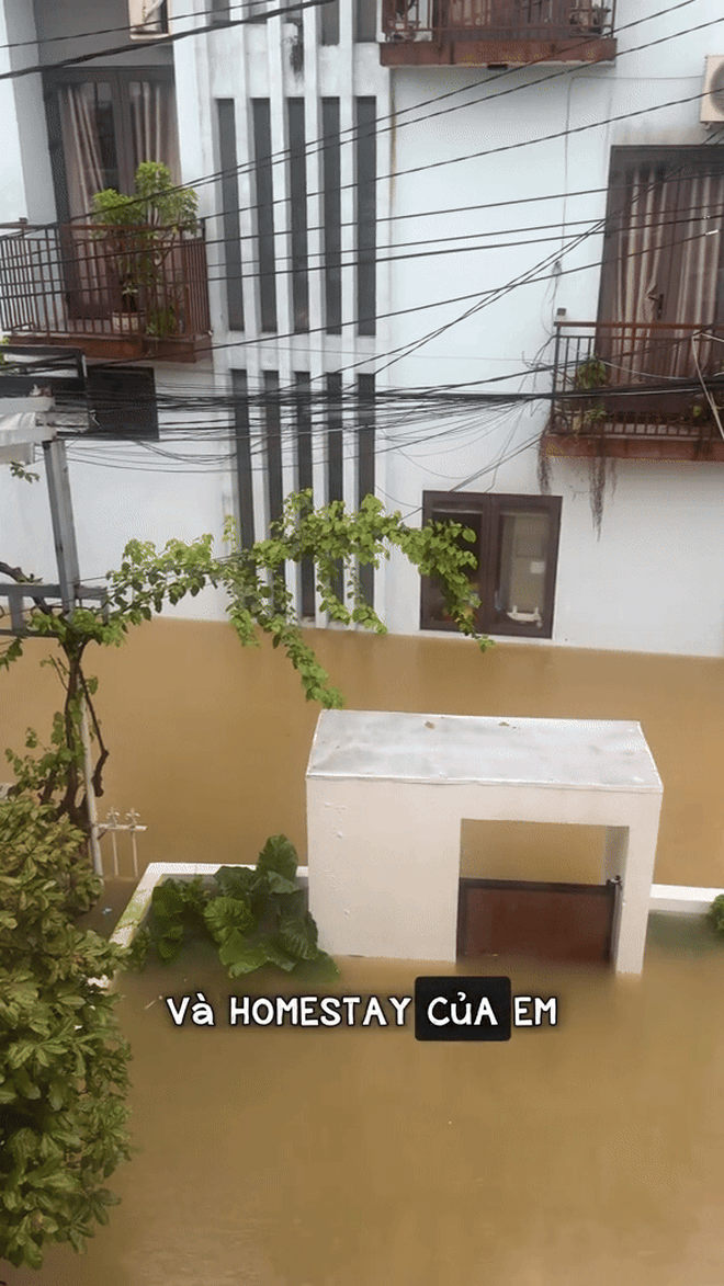 “Sau một trận lũ, mọi nỗ lực xem như về lại vạch xuất phát”: Tình trạng ở Huế hiện tại- Ảnh 2. “Sau một trận lũ, mọi nỗ lực xem như về lại vạch xuất phát”: Tình trạng ở Huế hiện tại- Ảnh 2.