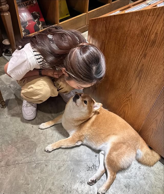 Rất khó để chê Khánh Vy- Ảnh 23. Rất khó để chê Khánh Vy- Ảnh 23.