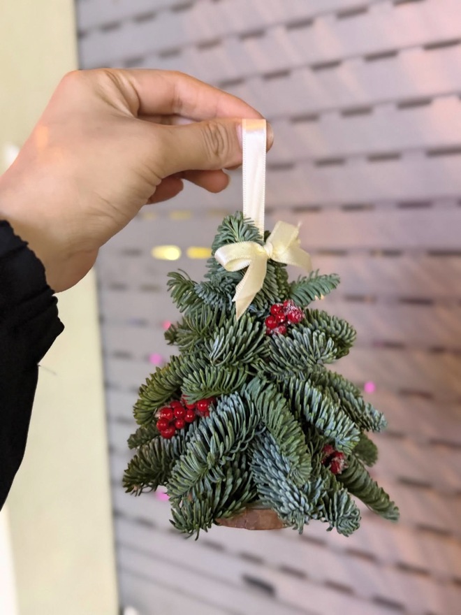 Năm nay Việt Nam đón giáng sinh sớm?- Ảnh 12. Năm nay Việt Nam đón giáng sinh sớm?- Ảnh 12.