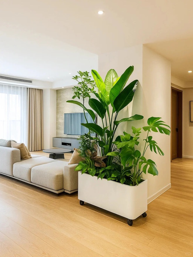 Bày đúng vài món này trong nhà: Vượng khí kéo tới, tiền tự chảy vào túi- Ảnh 4.