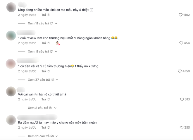 Drama áo dài 6 triệu của DINGDANG: Người review chỉ đi thuê, brand không tìm được tiếng nói chung với khách- Ảnh 8.