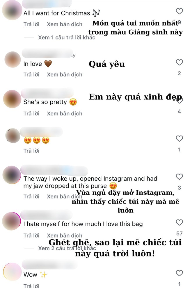 Túi mới nhất của Chanel khiến MXH bùng nổ, dân tình khẩn thiết đòi "bản dupe"- Ảnh 5.