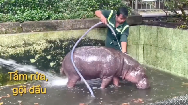 Không ngờ tới những "nhân viên tiêu biểu" đã giúp Thảo Cầm Viên đạt doanh thu trăm tỷ- Ảnh 9.
