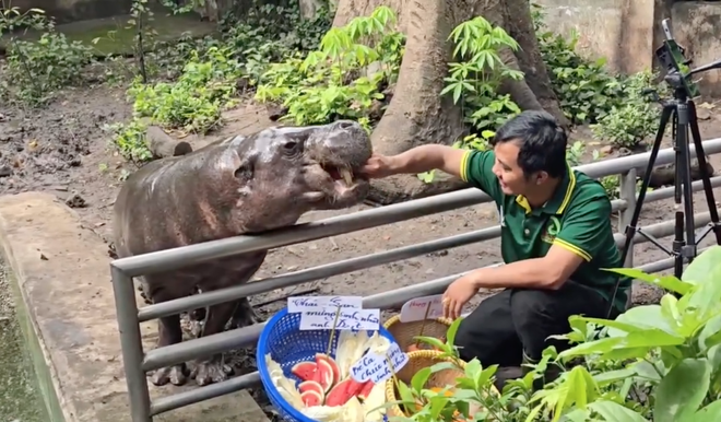 Không ngờ tới những "nhân viên tiêu biểu" đã giúp Thảo Cầm Viên đạt doanh thu trăm tỷ- Ảnh 8.