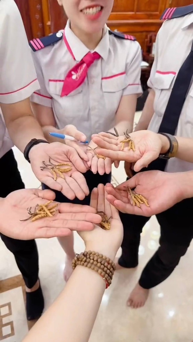 Bữa sáng bạc triệu của nhân viên Mailisa- Ảnh 4. Bữa sáng bạc triệu của nhân viên Mailisa- Ảnh 4.