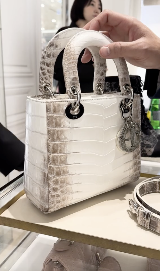 Túi Dior da cá sấu bạch tạng của Mailisa: Cùng gu với Đoàn Di Băng, chồng tặng vợ túi 1 tỷ còn chê quá rẻ- Ảnh 1.