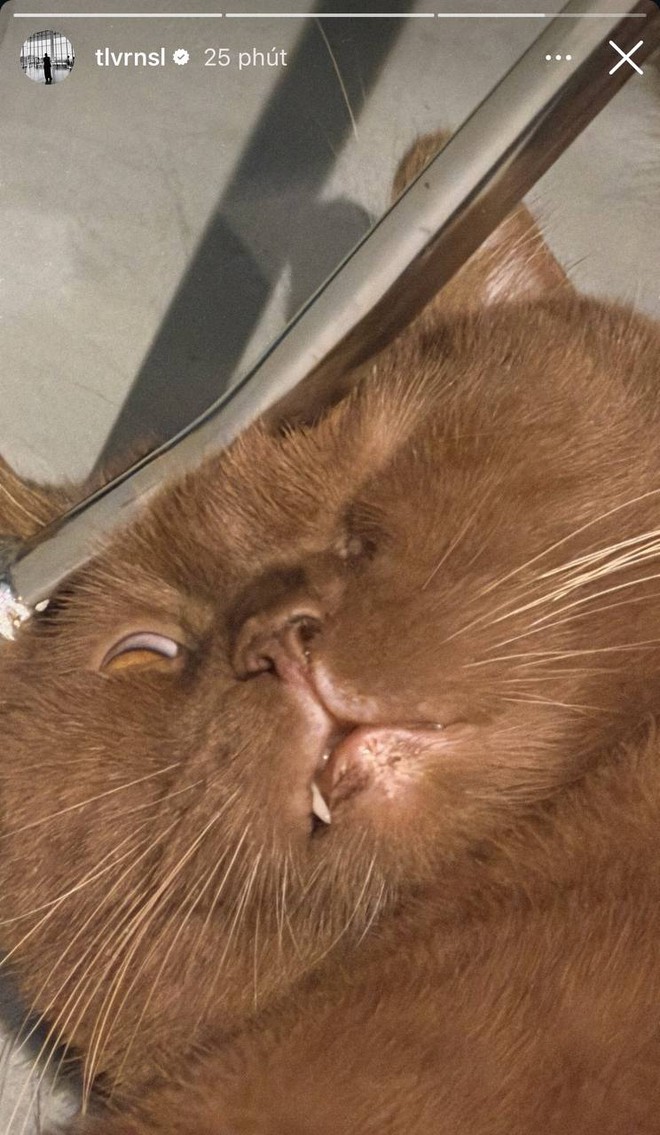 Tóc Tiên vội lên tiếng sau khi vô tình xác nhận độc thân,  còn Touliver bình tĩnh đi tập gym- Ảnh 5.